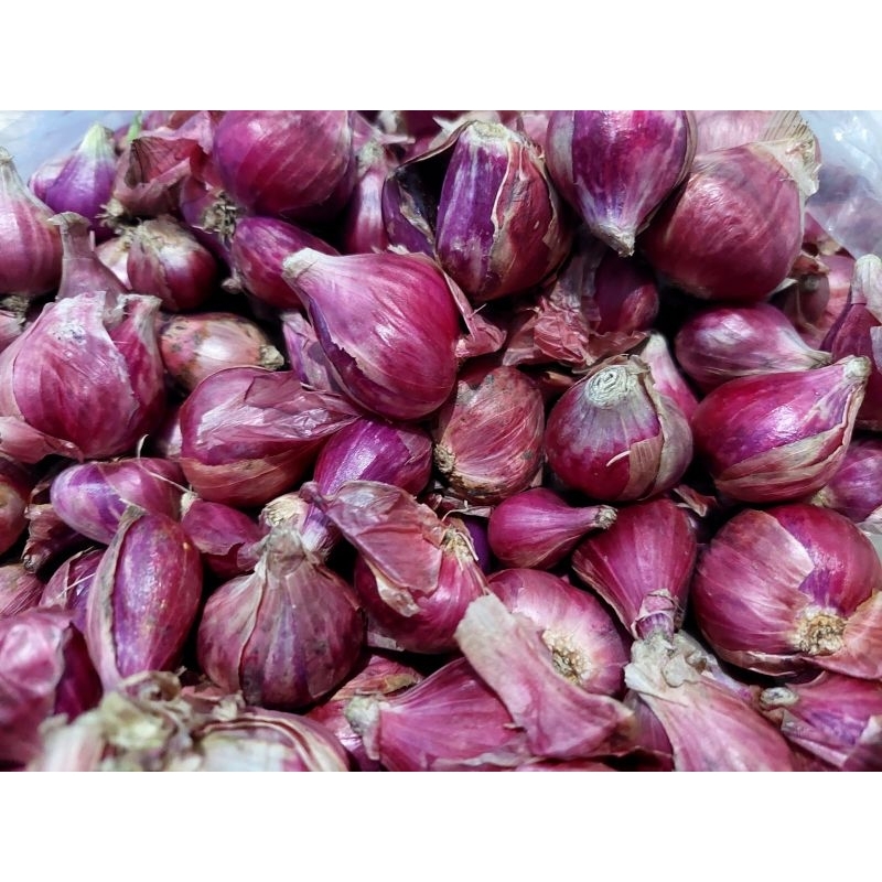 

bawang merah/bawang merah asli brebes /bawang 500g