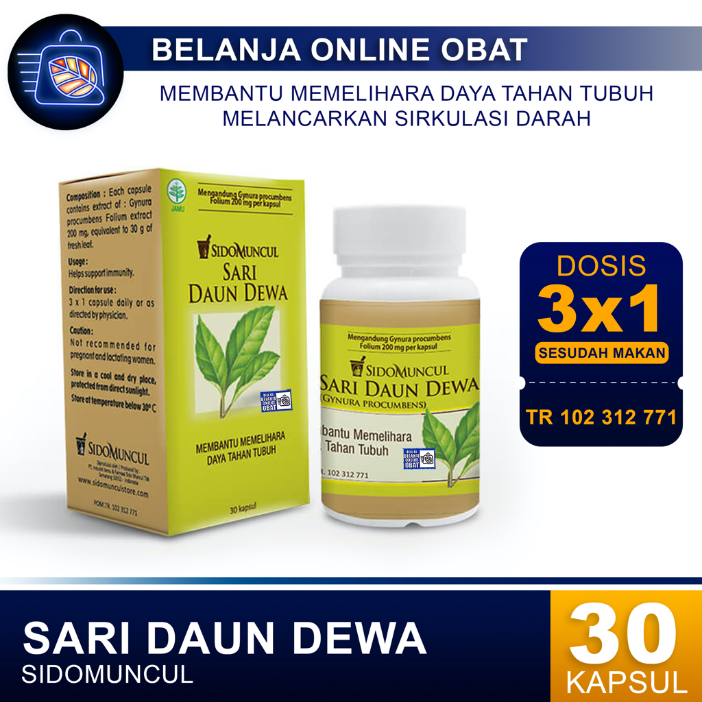 SIDOMUNCUL SARI DAUN DEWA // Melancarkan Sirkulasi Darah