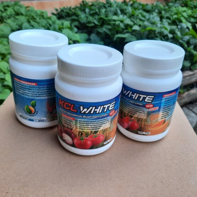 Pupuk KCL White 500gram