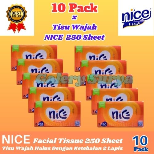 Tisu Facial NICE 250 Sheet / 2 ply (10 PACK)