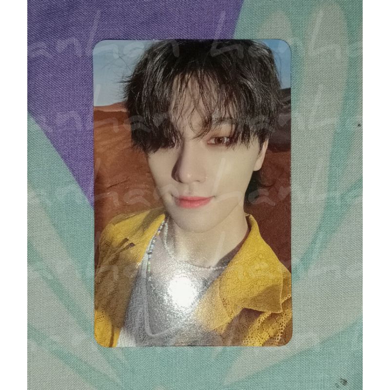 photocard Dino seventeen