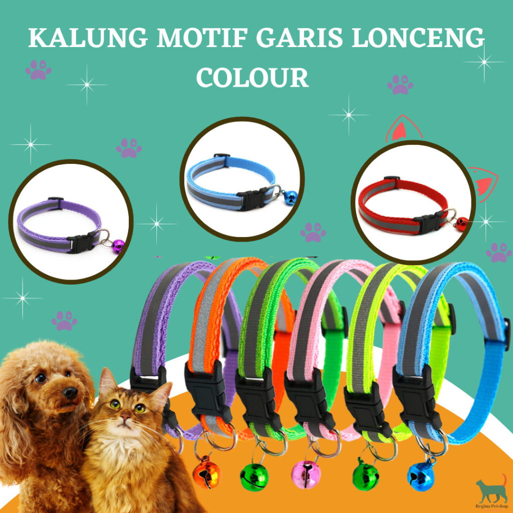 Kalung Kucing Kalung Anjing kucing mainecoon kucing persia anggora