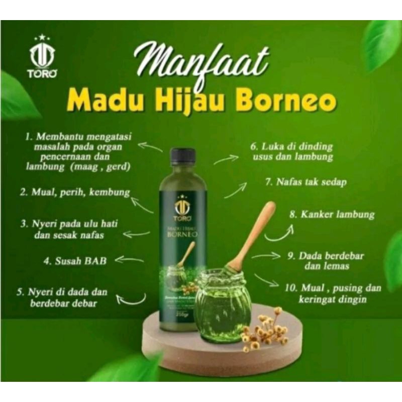 Madu Mahkota Lebah Borneo / Madu Hijau