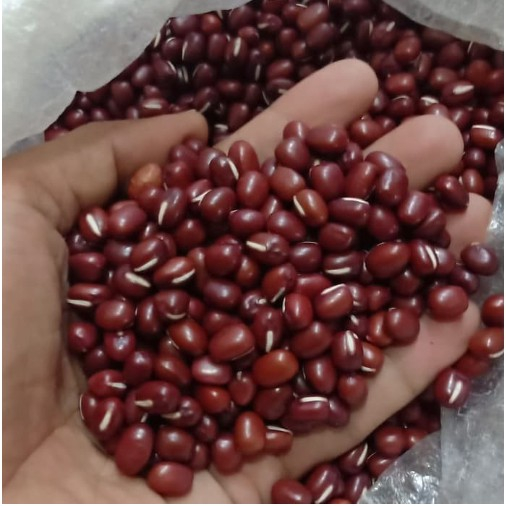 

SGS Kacang Merah Kecil Red Beans Azuki Adzuki