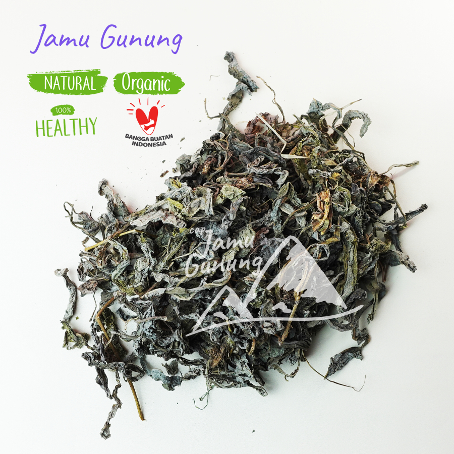 

Daun Tempuyung Kering 100gr Asli dan Bersih