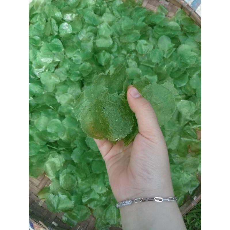 

KERIPIK KACA KRENYES (MENTAH) 20 KG ASLI CIAMIS (HIJAU)