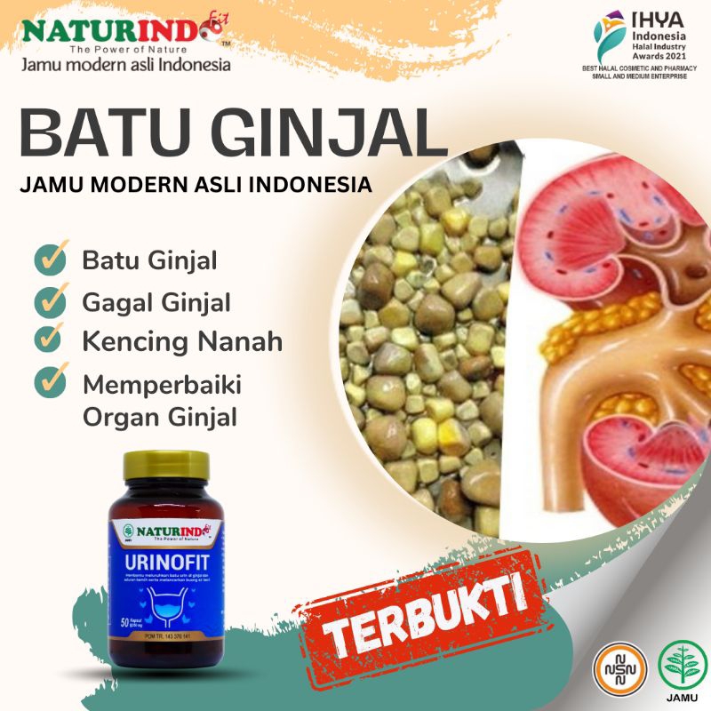 Obat Penghancur Batu Ginjal Obat Herbal URINOFIT Naturindo (Spesial Ginjal) obat herbal BPOM