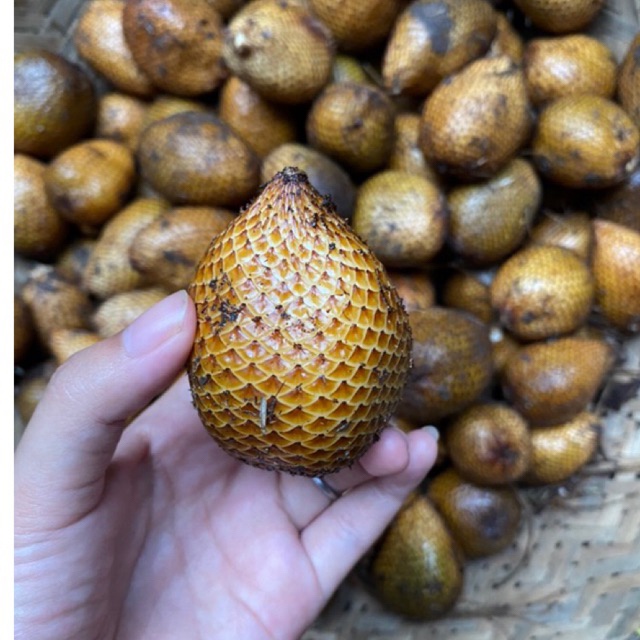 

Salak Bali (Salak Bali) 1 KG