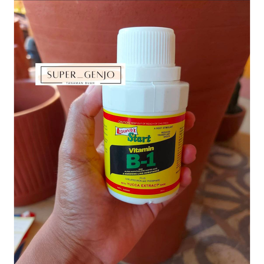 Vitamin B1 Untuk Tanaman