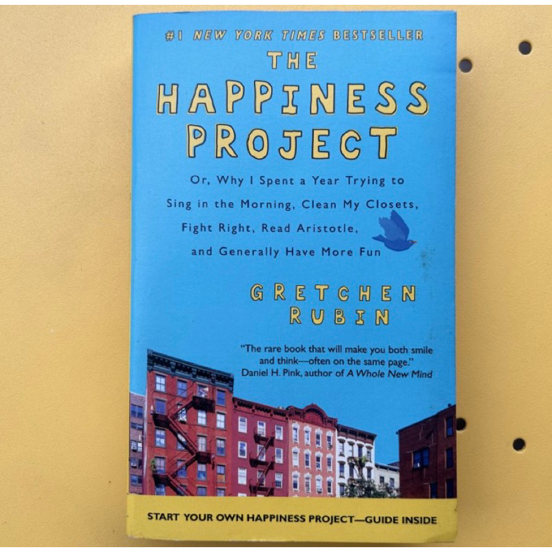 The happiness project