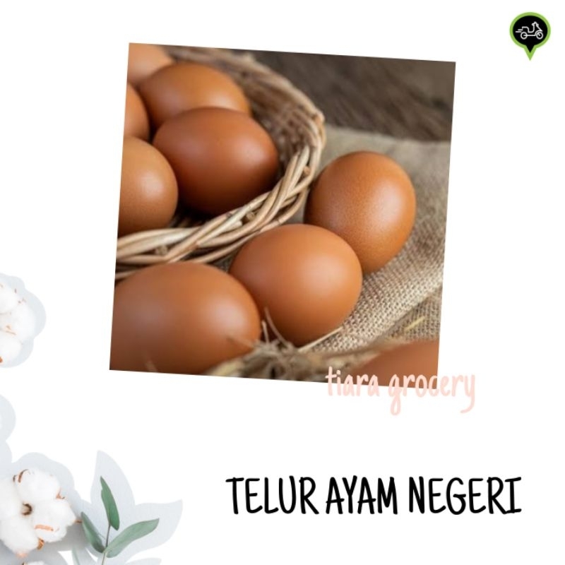 

Telur ayam negeri