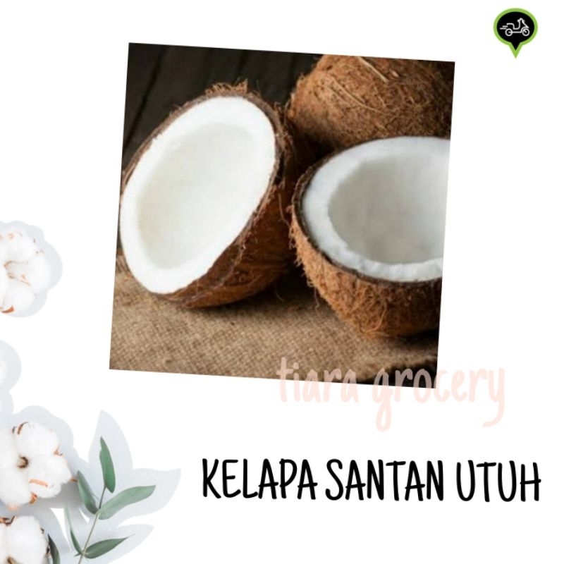 

Kelapa santan