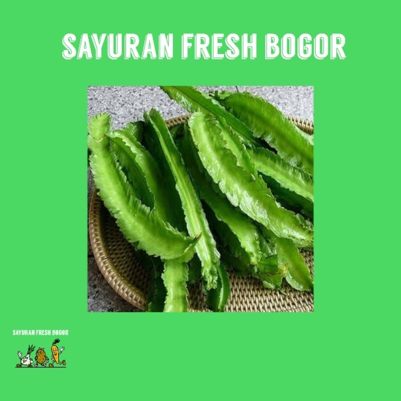 

Kecipir Hijau ( 500 Gram ) | Sayuran Fresh Bogor