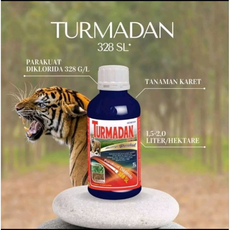 turmadan hebisida 328SL