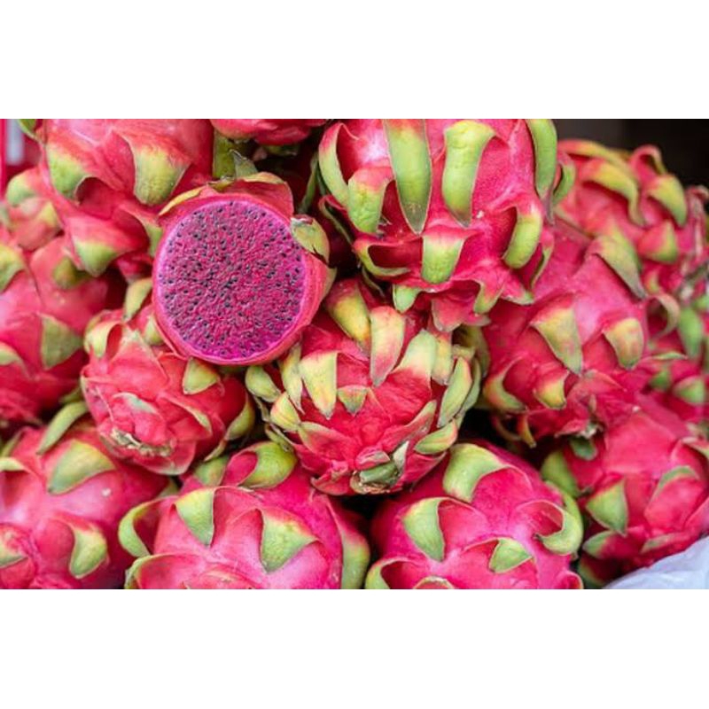 

Buah Naga Segar Manis