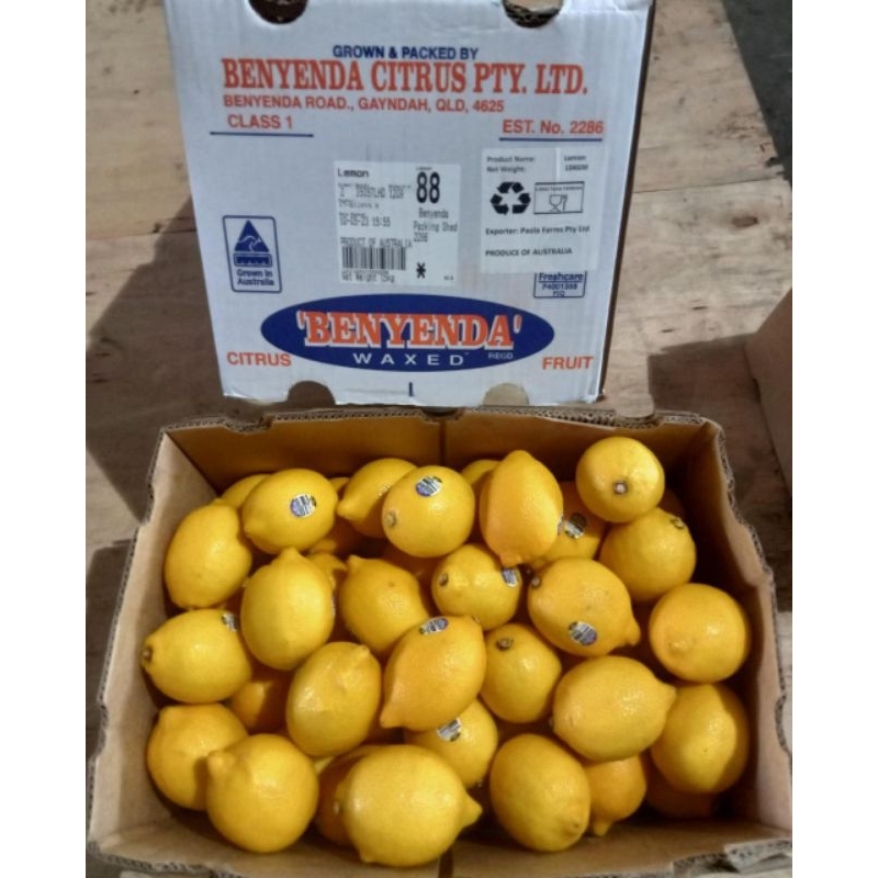 

Jeruk Lemon China