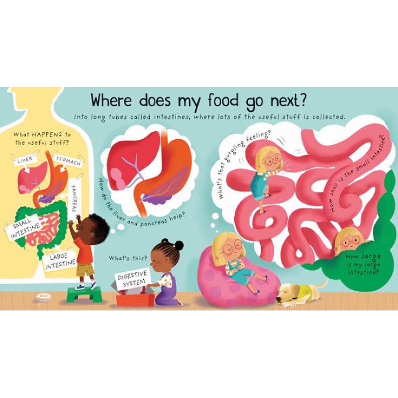 Usborne Where Does My Food Go? First Questions and Answers Lift the Flap Education Imported English Book Buku edukasi Impor Anak Bahasa Inggris