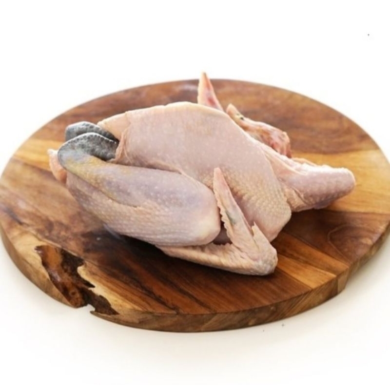 

AYAM KAMPUNG Frozen & fresh 700gr sampai 900gr