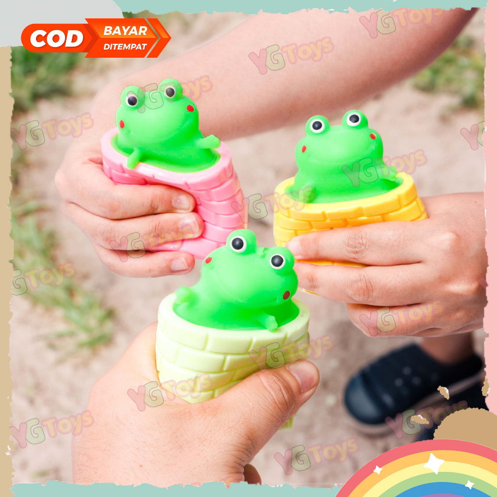 YGtoys Mainan Squishy Tupai Kodok Karakter Squeeze Squeez Silikon Pop It Animal Katak Lucu