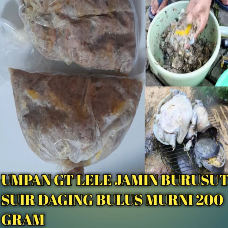 UMPAN GT LELE DAGING LABI 300 G SIAP PAKAI