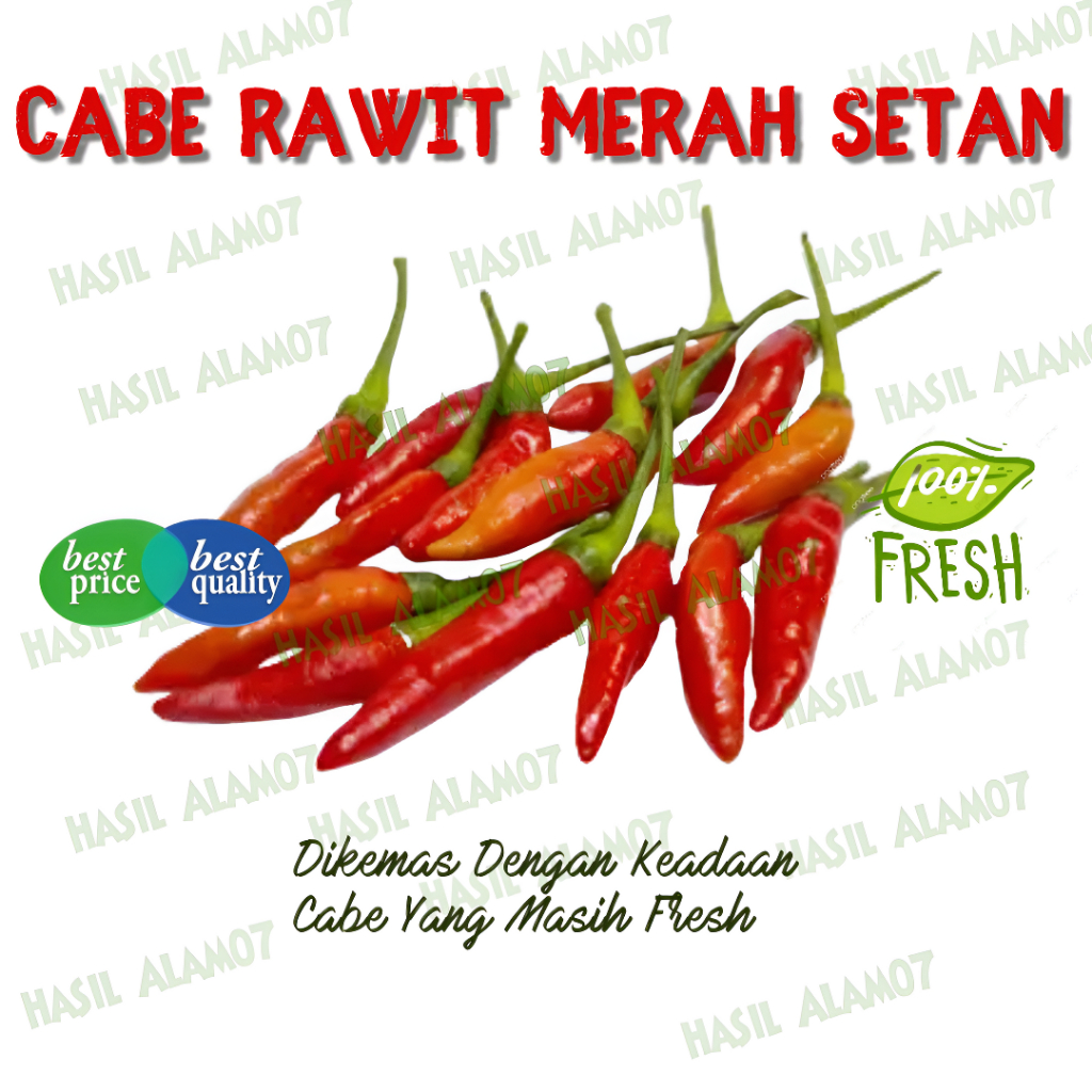 

Cabe Rawit Merah Setan Segar 500 Gram