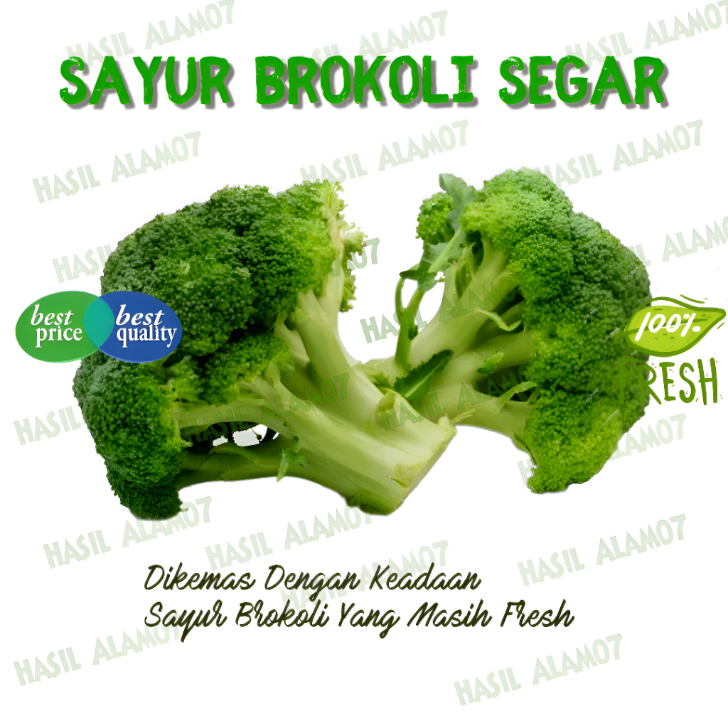 

Sayur Brokoli Segar 500 Gram