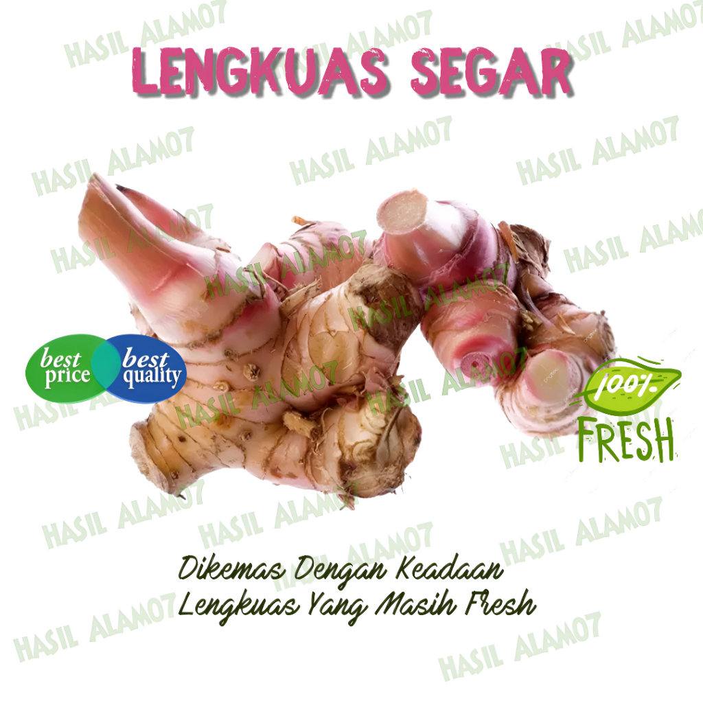 

Rempah Lengkuas Laos Bumbu Masak Segar 1kg
