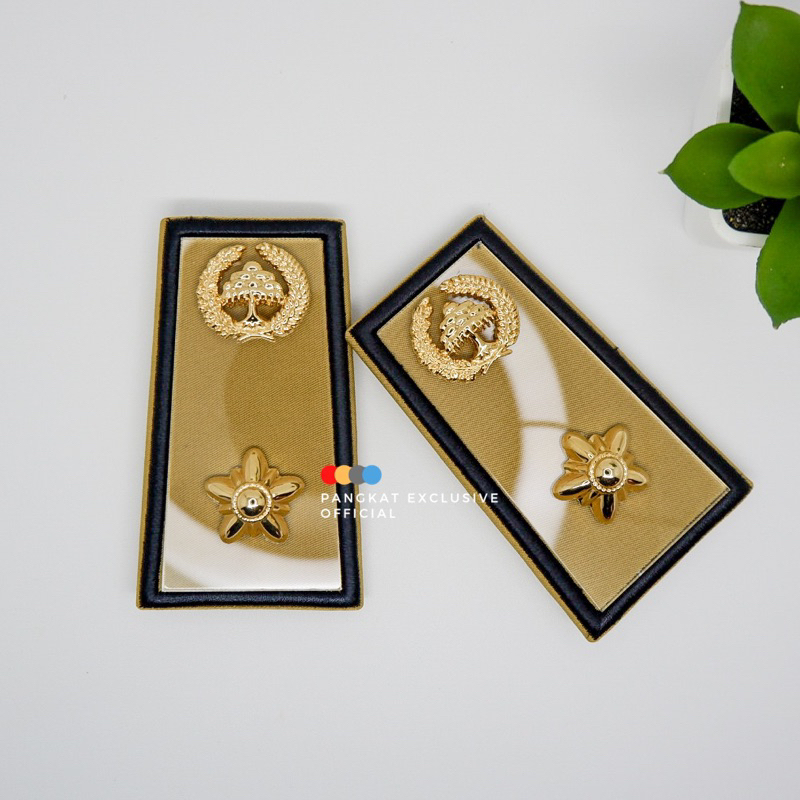 PANGKAT ASN LAMPUNG 4A - PANGKAT ASN LAMPUNG 4B- PANGKAT ASN LAMPUNG 4C