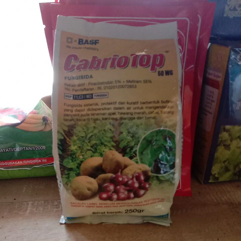 CABRIO TOP 60 WG 250 GR