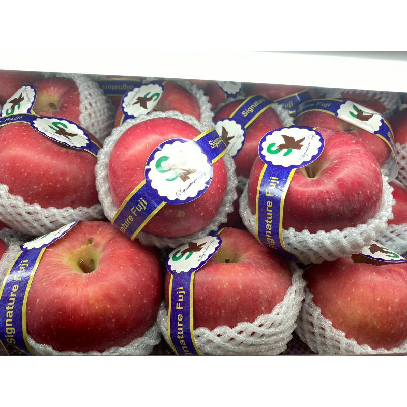 

Apel Fuji Signature Premium Jumbo manis | Buah Apel Fuji 1 kg