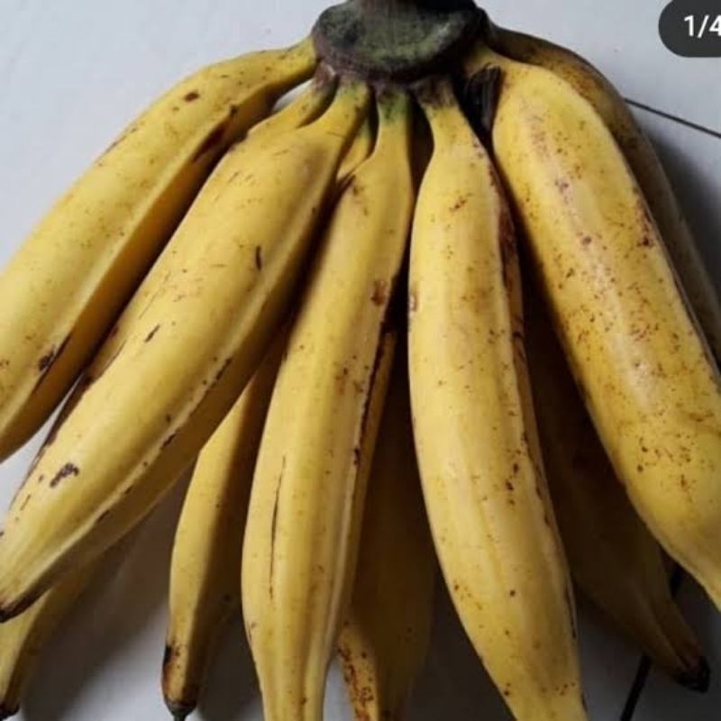 

pisang Kapas -+ 1kg