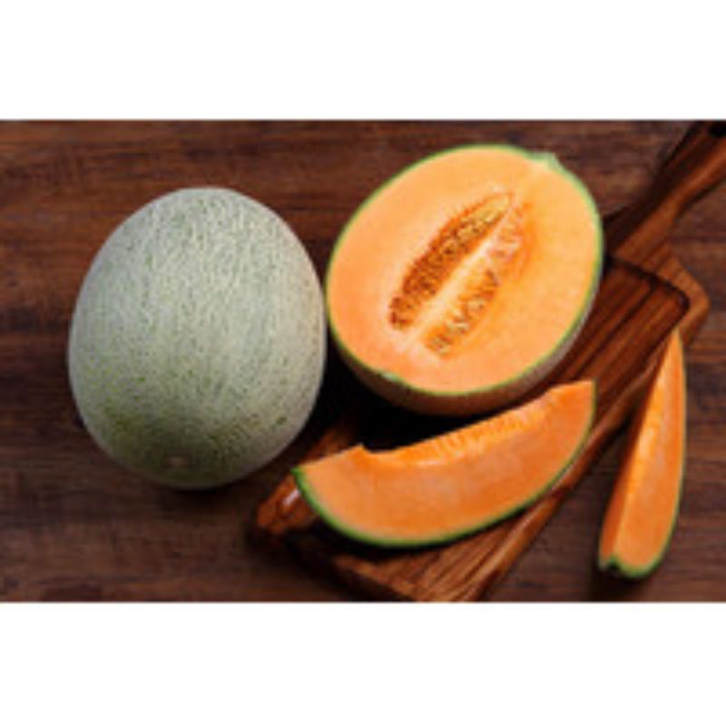 5 Benih Biji Melon Orange