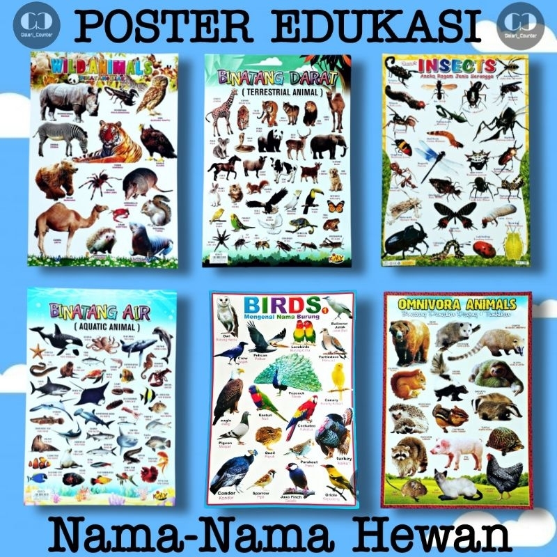 POSTER EDUKASI ANAK BELAJAR NAMA-NAMA HEWAN ( Hewan Darat,Air,Udara )