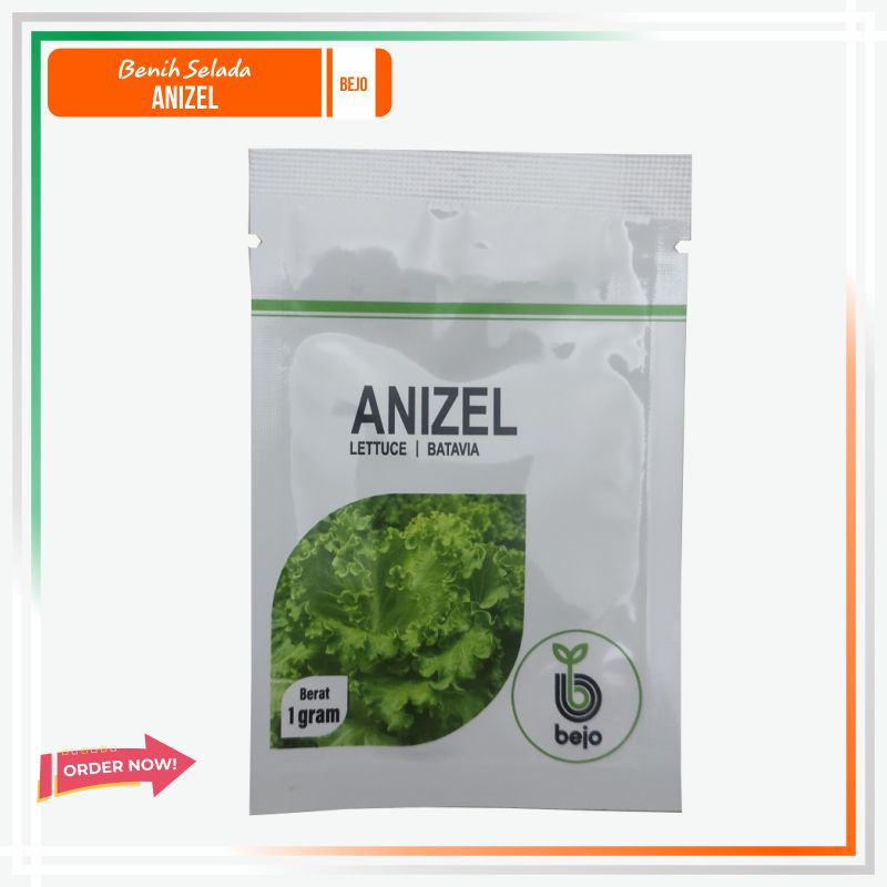 Benih Selada Anizel Bejo 1gr