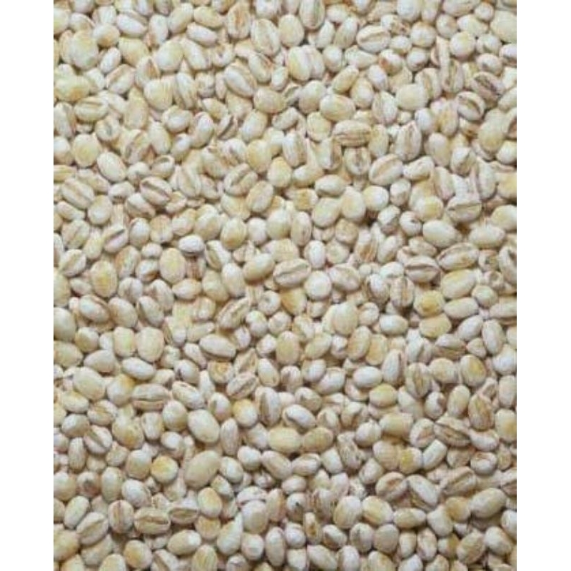 

Jali Jali Import/ Pearl Barley 100 gram