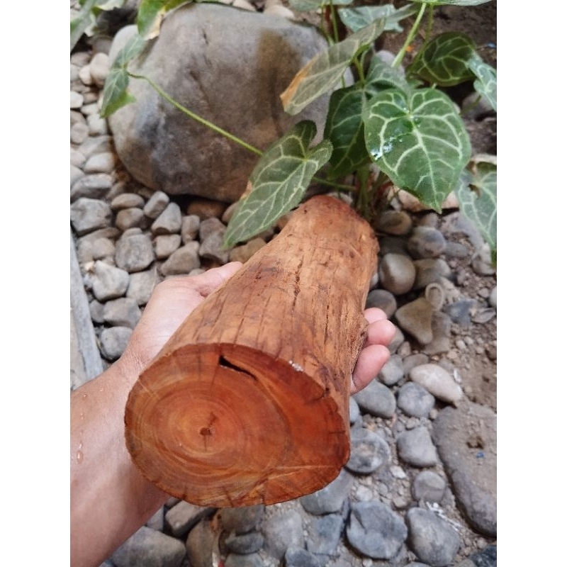 kayu raja/kayu agatis bahan kerajinan.//batu akik //gagang