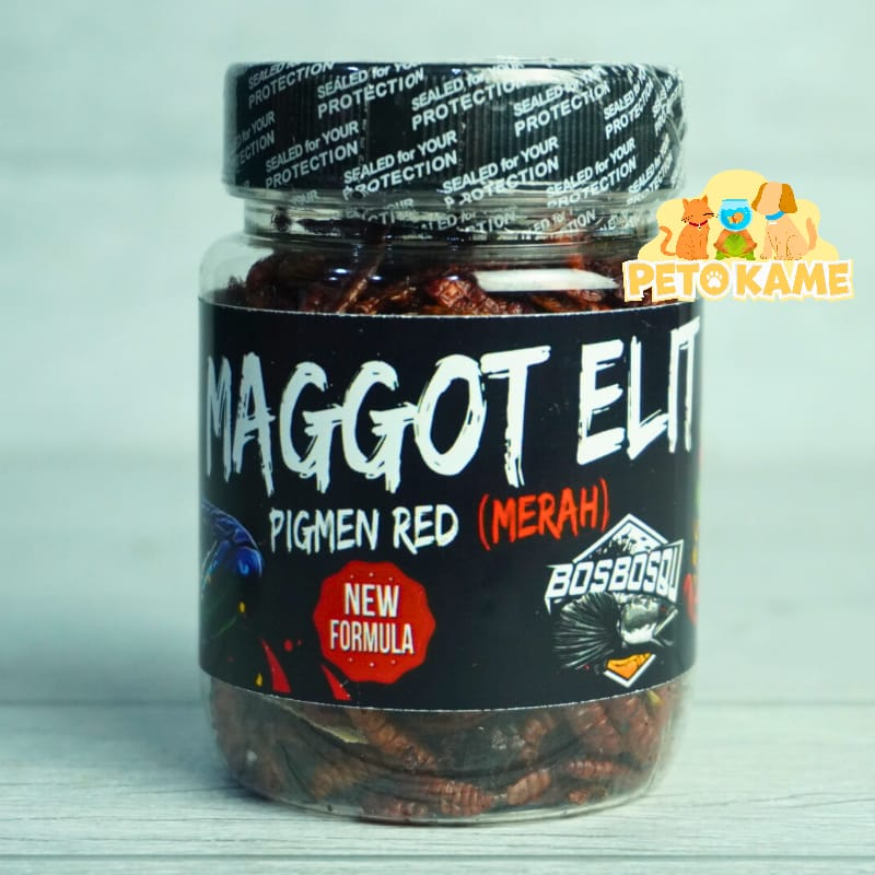 Bos Bos Qu MAGGOT ELIT Red Orange | Pakan Ikan Channa