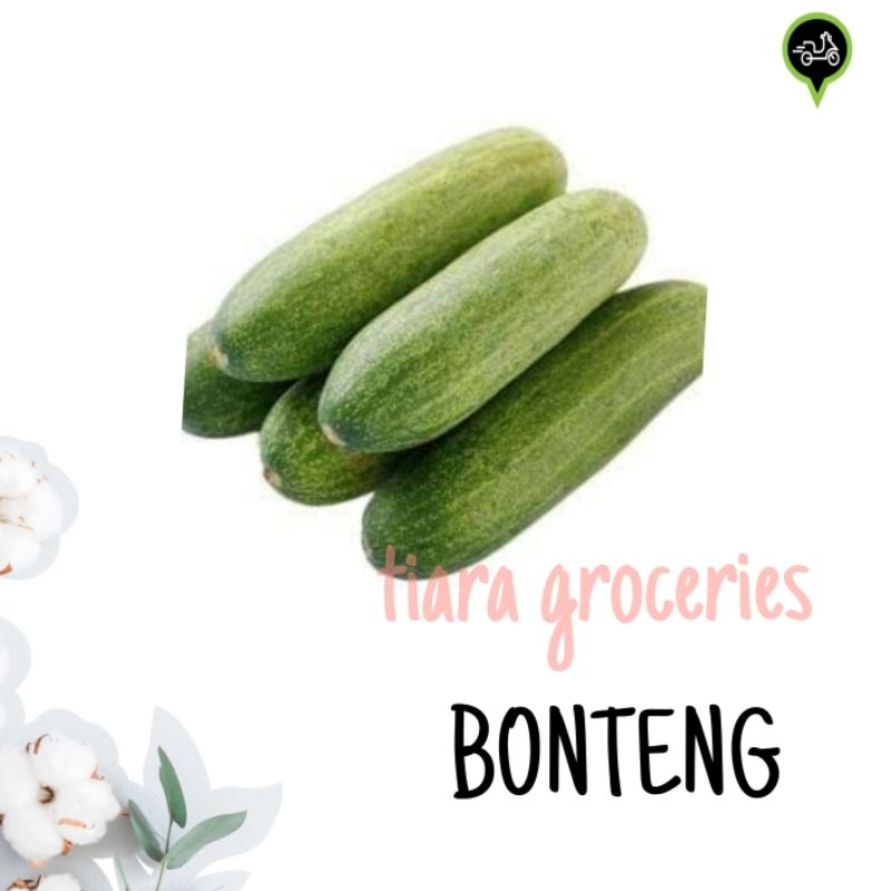 Bonteng / Mentimun