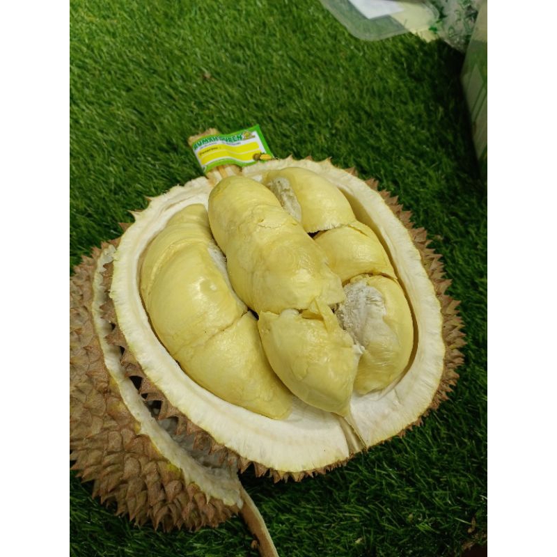 

DURIAN LOKAL UTUH / BULAT PILIHAN