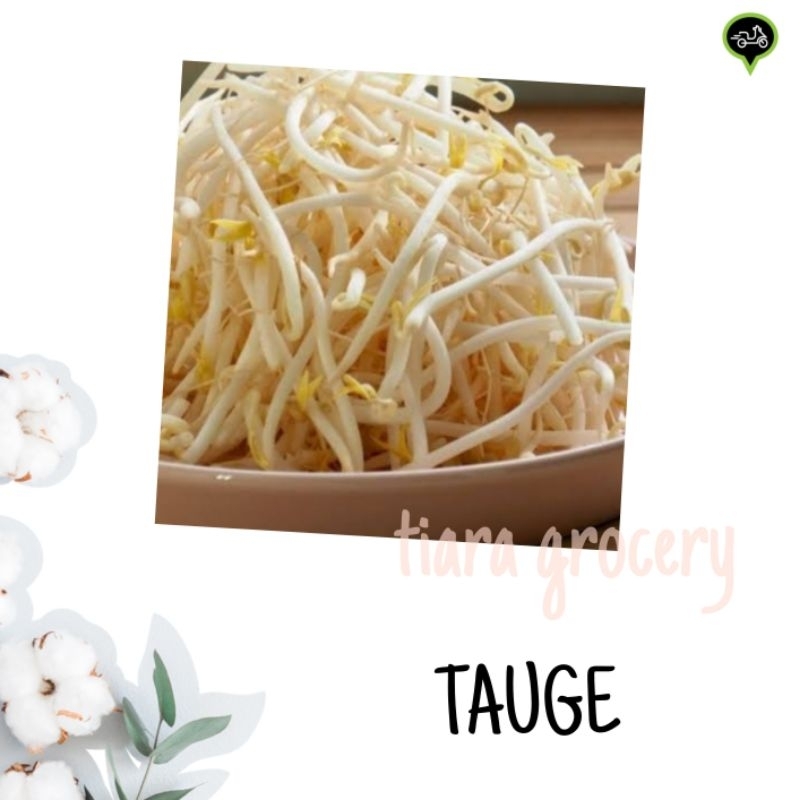 

Toge/ tauge/ kecambah