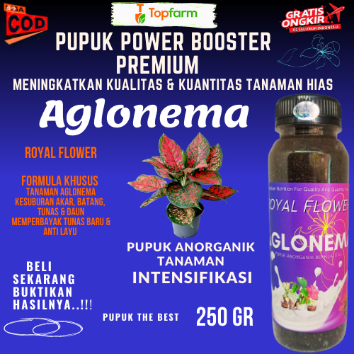 Pupuk Aglonema / Pupuk Aglonema Cepat Beranak / Pupuk Royal Flower 250 GR / Pupuk Aglonema Penyubur 