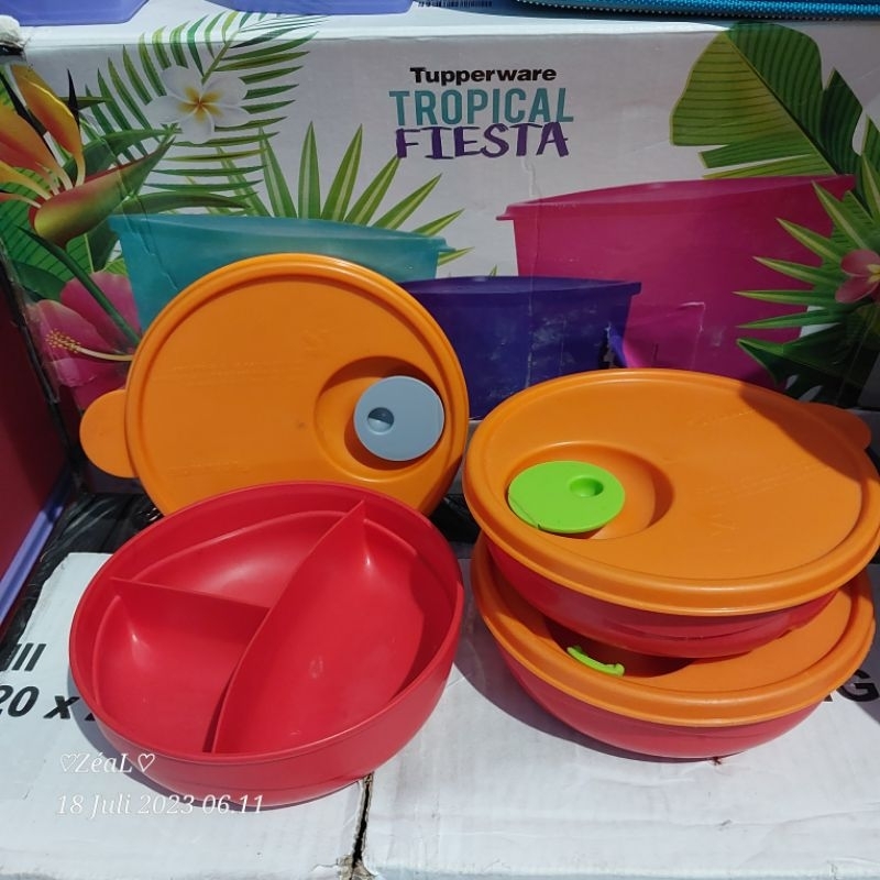 Cwl mini/ bekal anak tupperware second tutup katup