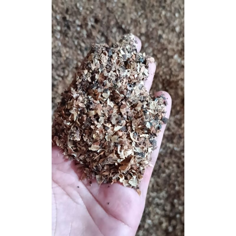 

[TERMURAH] KULIT KOPI KERING MURNI 500KG