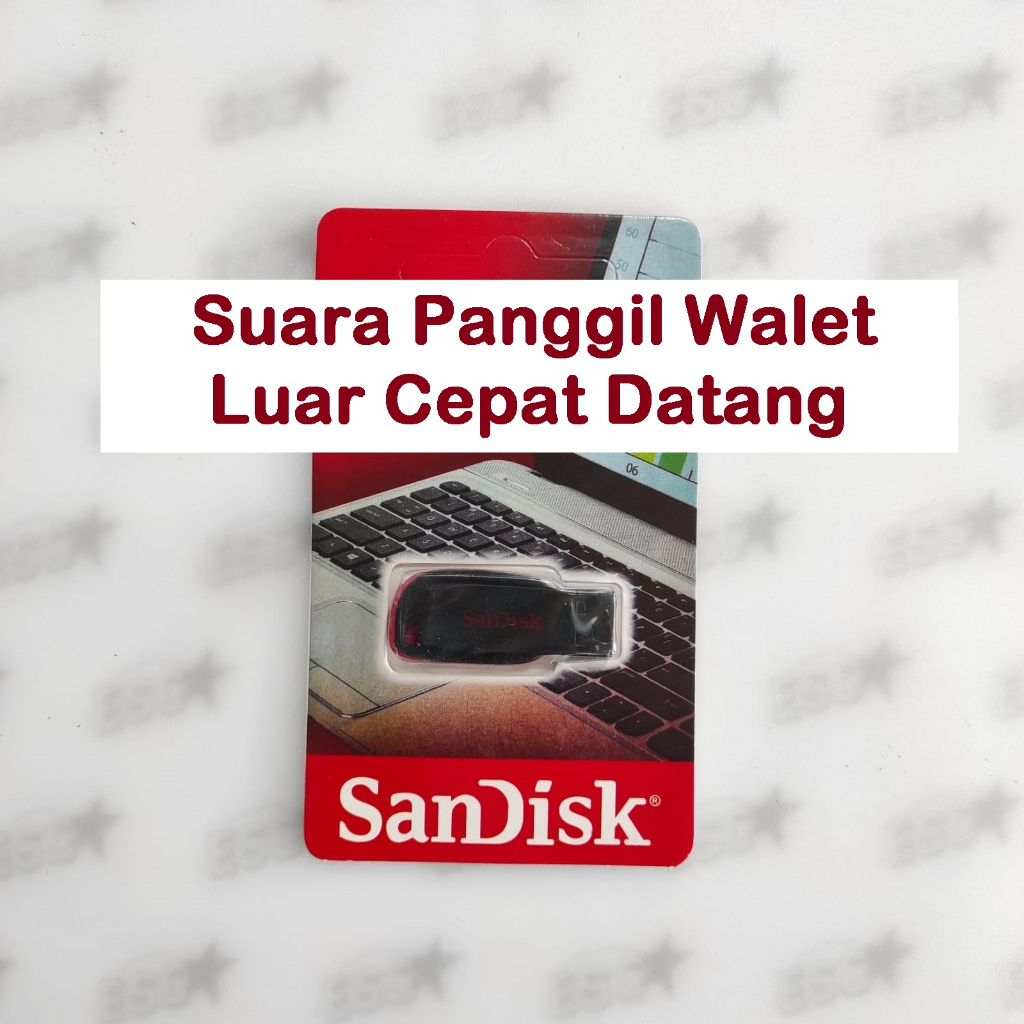 Suara Panggil Walet Luar Cepat Datang - Lagu Walet Super Unik