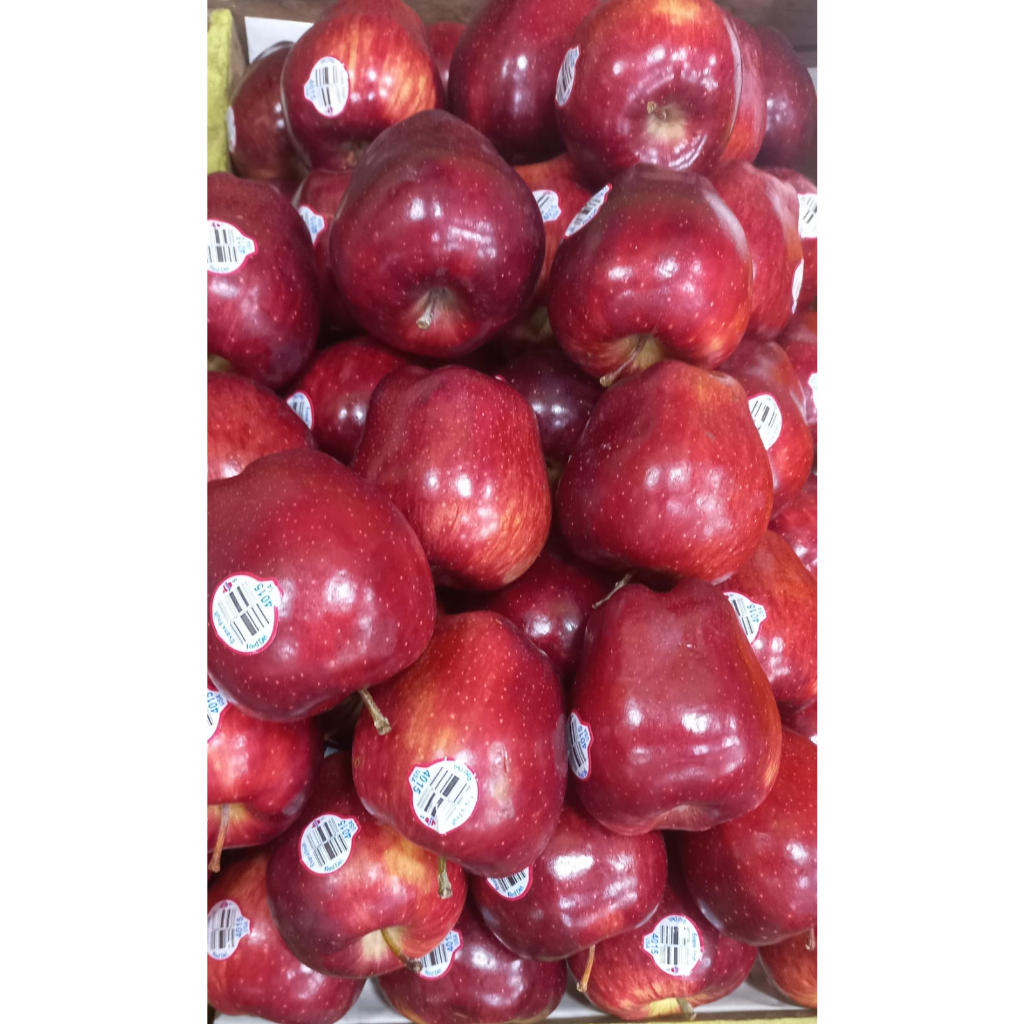 

Buah Apel Merah Red Washintong Manis Segar