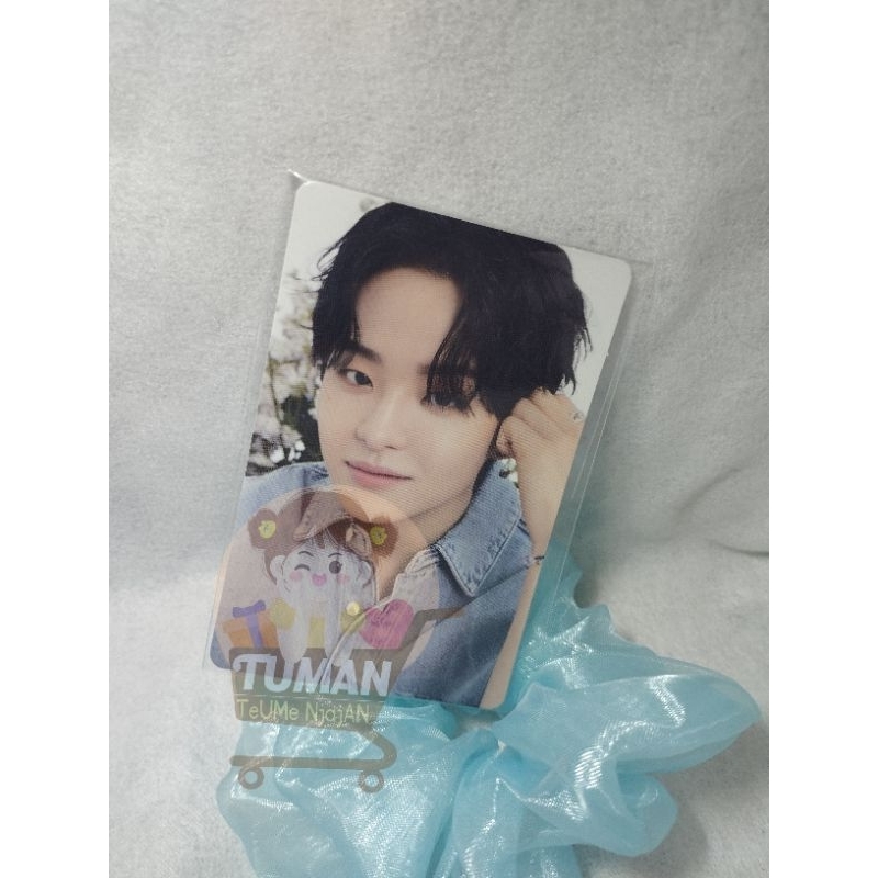 Pc Blooming TREASURE,TRUZ