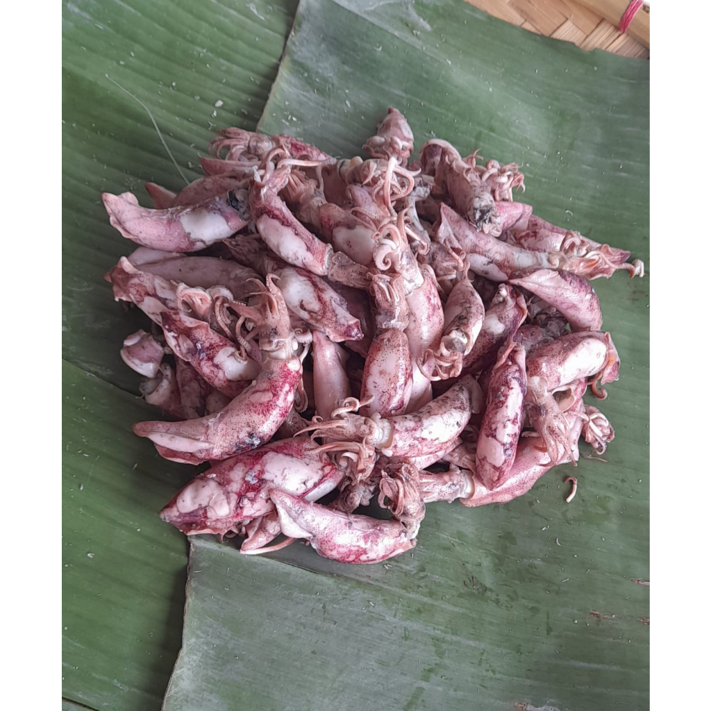 

Cumi Asin - Baby Cumi Non Kimiawi 100gr.