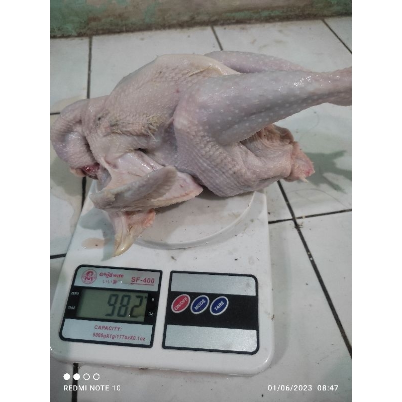 

ayam_kampung_fresh_1kg