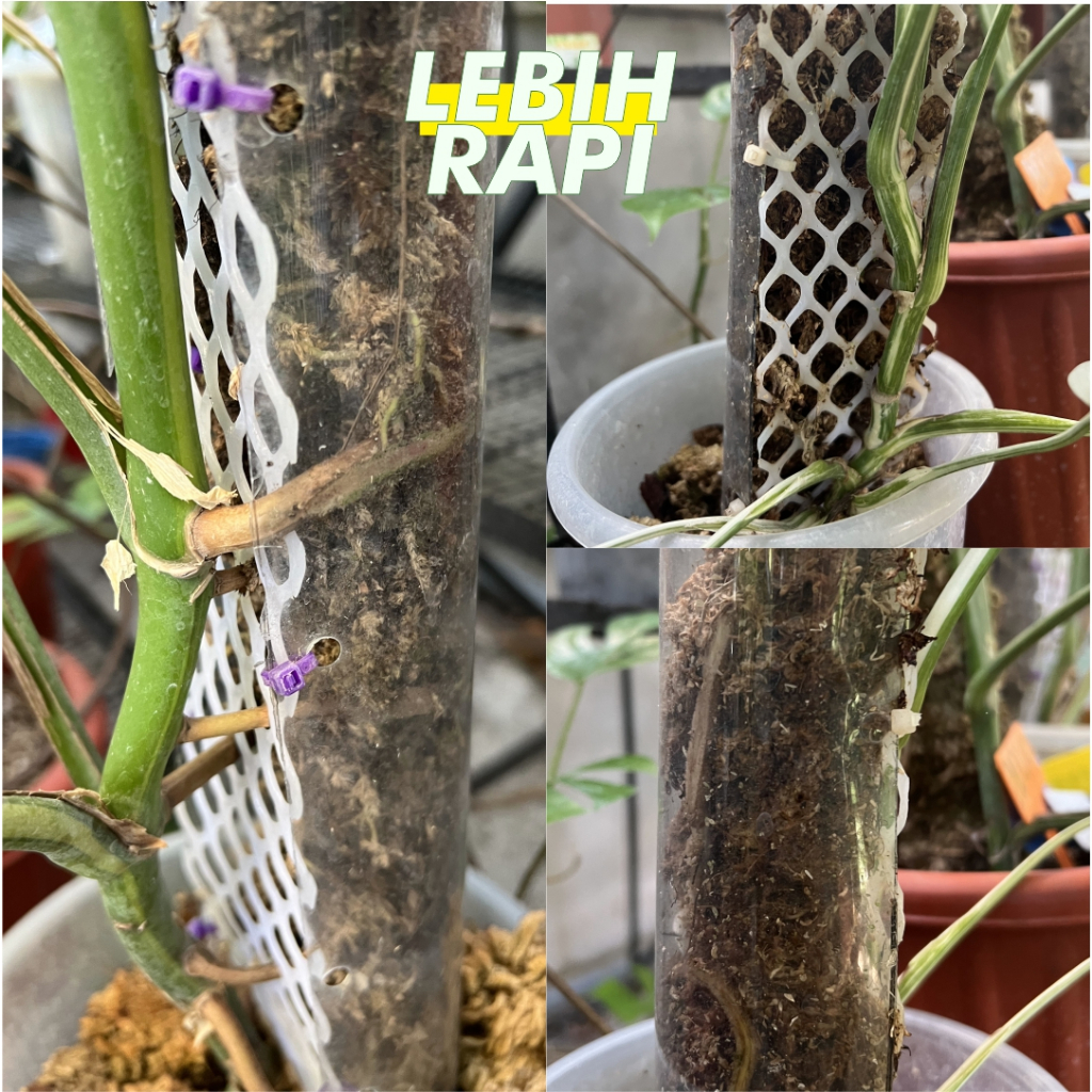 Lionmarket Turus Mika Penyangga Tanaman Hias Rambat Turus Fiber Turus Pohon