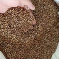 

Ketumbar Hitam Asli | Biji Ketumbar Murni Kualitas Premium - 1kg